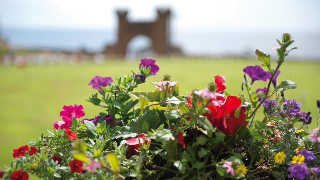 The Belmont Hotel - Adults Only Sidmouth Luaran gambar